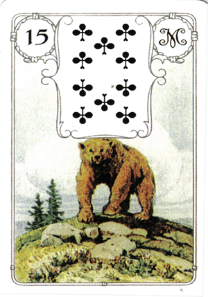 медведь ленорман 