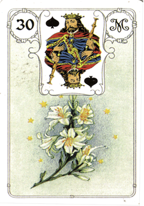 лилии ленорман 